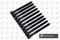 Set surub, chiulasa BGA, Cod: BK3346