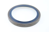 Seal Ring, steering knuckle