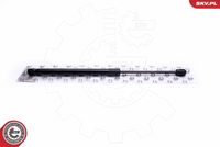 Gas Spring, boot/cargo area