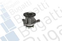 Wasserpumpe, Motorkühlung