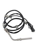 Sensor, Abgastemperatur