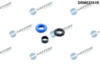 Blīvju komplekts, Iesmidzināšanas sprausla DRM03741R Dr