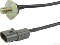 Klopfsensor