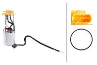 Article Picture