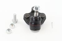 Trag-/Führungsgelenk