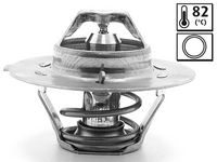 Thermostat, Kühlmittel