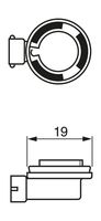 Glühlampe, Fernscheinwerfer Glühlampe, Fernscheinwerfer