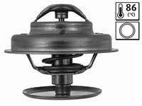 Thermostat, Kühlmittel