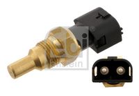 Sensor, Kühlmitteltemperatur