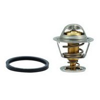 Thermostat, Kühlmittel
