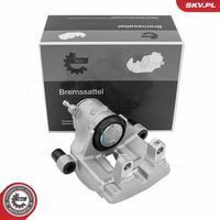 Article Picture