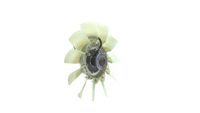 Thumbnail - Koelventilatorwiel - CFF480000P - MAHLE