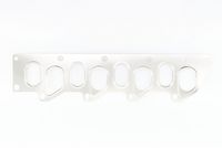 Dichtung, Ansaug-/Abgaskrümmer