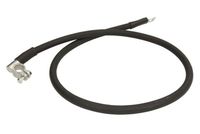 TRUCKLIGHT Aardingskabel, carburateur 1