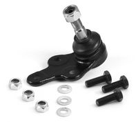 Trag-/Führungsgelenk