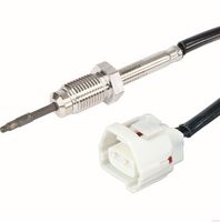 Sensor, Abgastemperatur