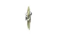 Thumbnail - Koelventilatorwiel - CFF477000P - MAHLE
