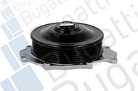 Wasserpumpe, Motorkühlung