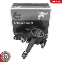 Steering Knuckle, wheel suspension