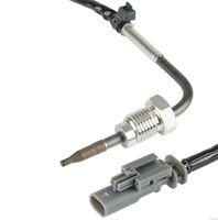Sensor, Abgastemperatur