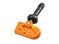 Radsensor, Reifendruck-Kontrollsystem