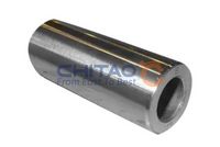 Piston Pin/Circlip