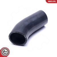 Article Picture