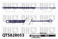 Gasfeder, Koffer-/Laderaum