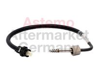 Sensor, Abgastemperatur