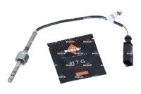 Sensor, Abgastemperatur