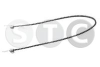 HALTER DACHTRäGERSPANNGURT