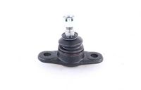 Trag-/Führungsgelenk