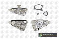 Pompă de apă, răcire motor BGA, Cod: CP6558T