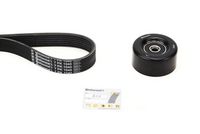 Keilrippenriemensatz