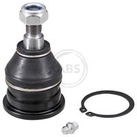 Trag-/Führungsgelenk