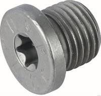 Surub de golire,baia de ulei HERTH+BUSS ELPARTS, Cod: 50240038