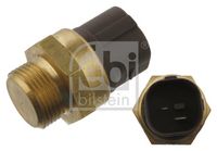 Temperature Switch, radiator fan