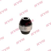 тампон, носач