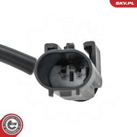 Article Picture
