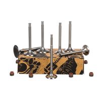 Thumbnail - Kleppenset, in-/uitlaatklep - VS0009 - ET ENGINETEAM