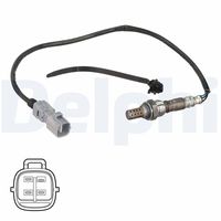 Oxygen Sensor