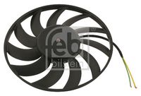 Fan, engine cooling