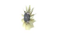 Thumbnail - Koelventilatorwiel - CFF507000P - MAHLE