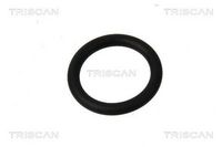 Inel etansare, injector TRISCAN, Cod: 8900 11095