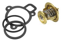 WAHLER Thermostaat, koelvloeistof 2