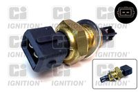 Sensor, Ansauglufttemperatur
