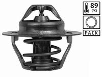 Thermostat, Kühlmittel
