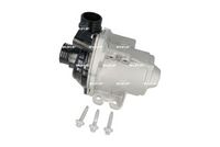 Wasserpumpe, Motorkühlung