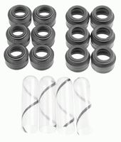 Dichtungssatz, Ventilschaft