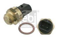 Temperature Switch, radiator fan